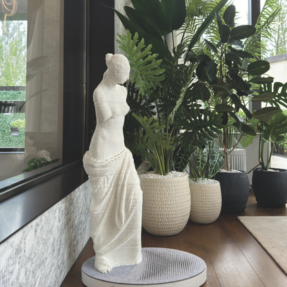 Venus Sculpture｜Art Cat Scratcher Post