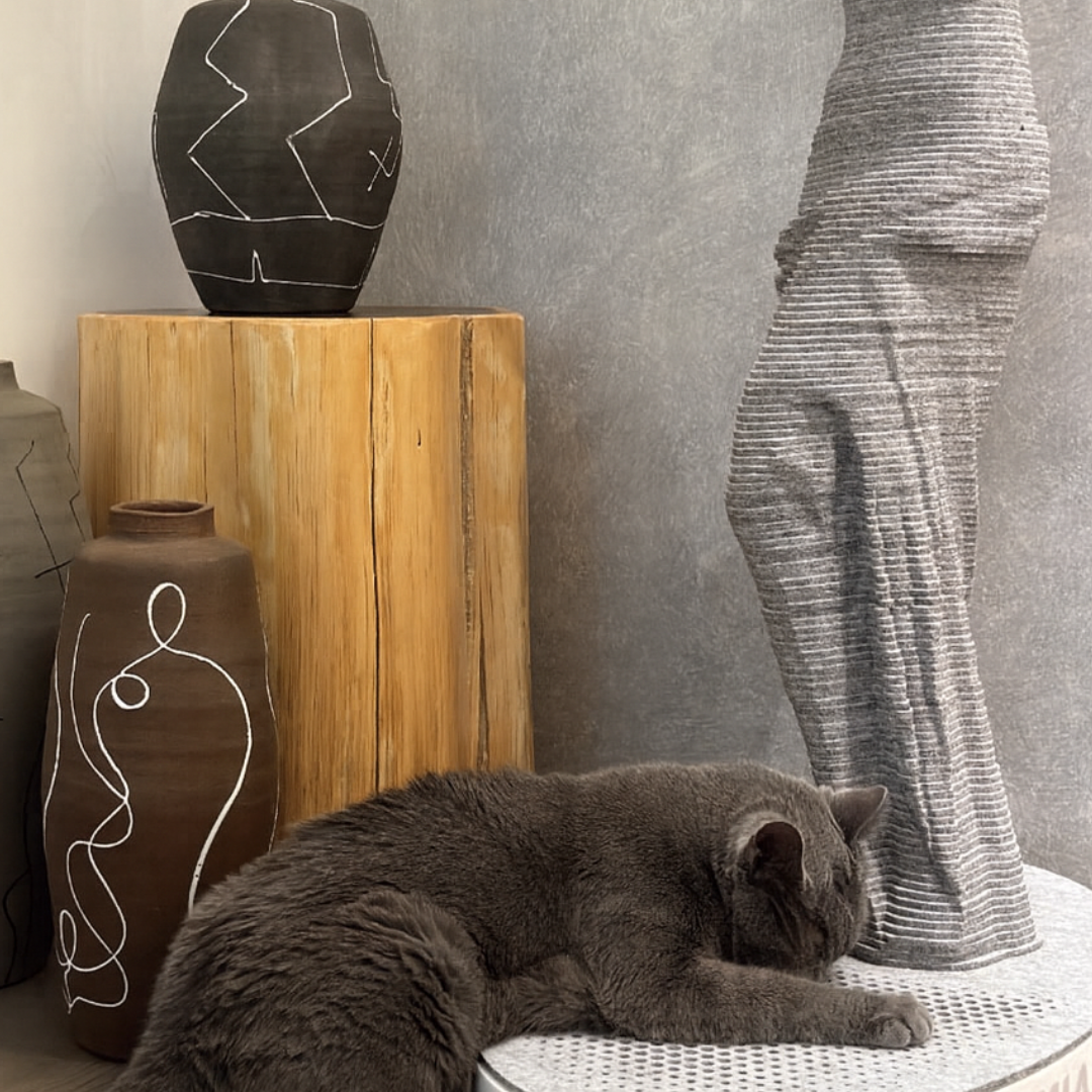 Venus Sculpture｜Art Cat Scratcher Post