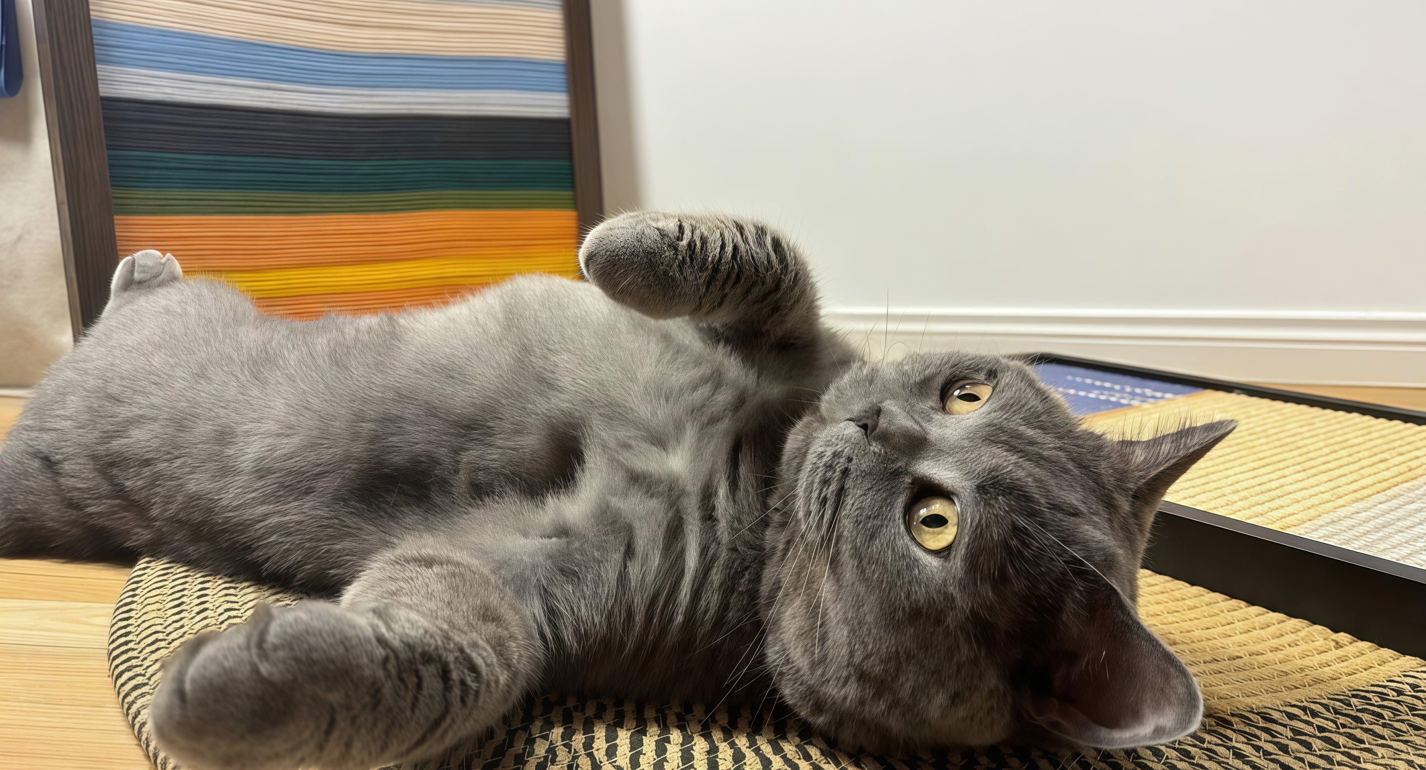 Functional decorative cat scratcher combining modern design with pet-friendly durability.